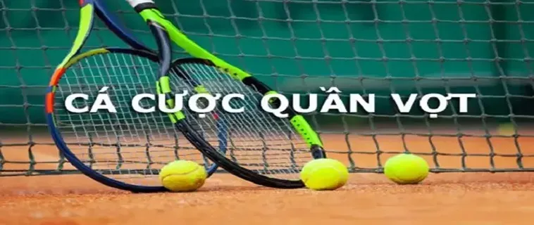  Tìm hiểu Quần vợt FAFA191: Cánh Cửa Mới Cho Người Chuyên Cược